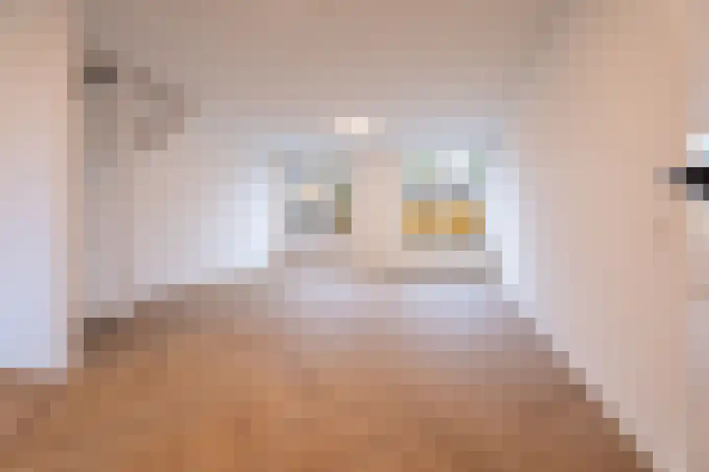 Van der Burghstraat 10 Hendrik-Ido-Ambacht thumbnail 4