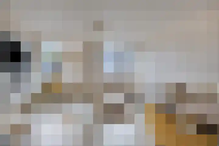 Van der Burghstraat 10 Hendrik-Ido-Ambacht thumbnail 7