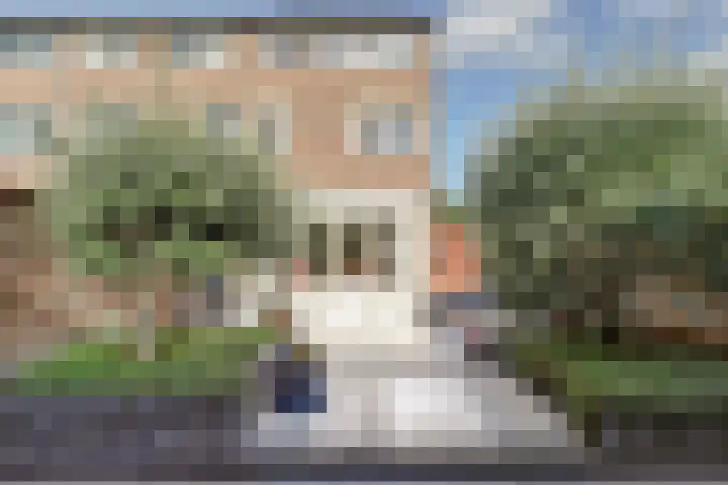 Van der Burghstraat 26 Hendrik-Ido-Ambacht thumbnail 40