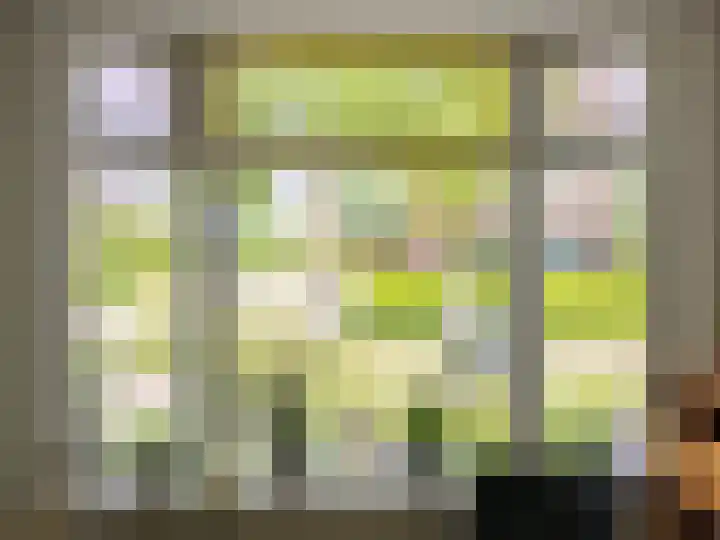 van der Capellenlaan 12 Zutphen thumbnail 11
