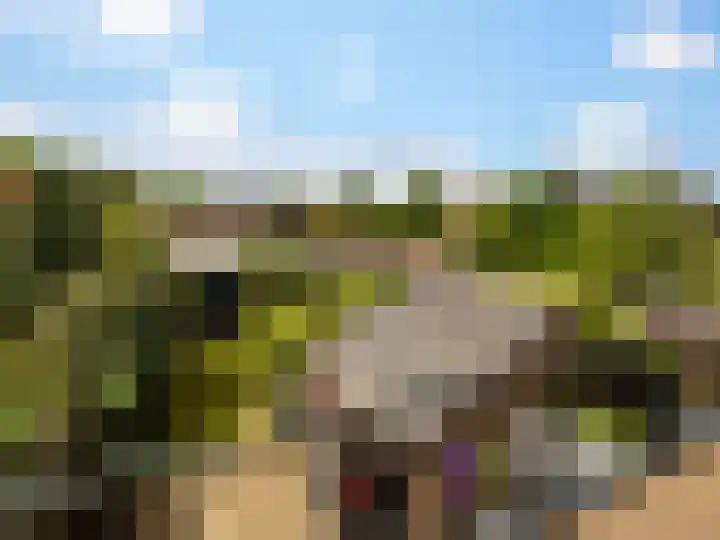 van der Capellenlaan 12 Zutphen thumbnail 20