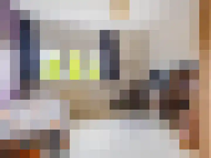 van der Capellenlaan 12 Zutphen thumbnail 23