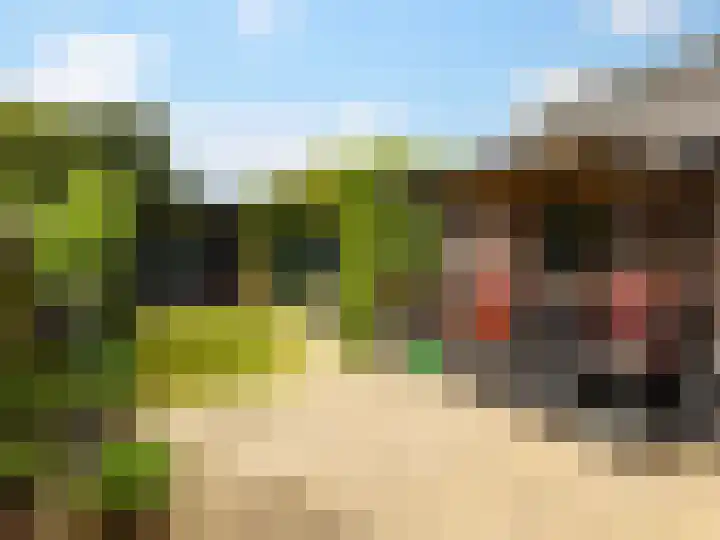 van der Capellenlaan 12 Zutphen thumbnail 28