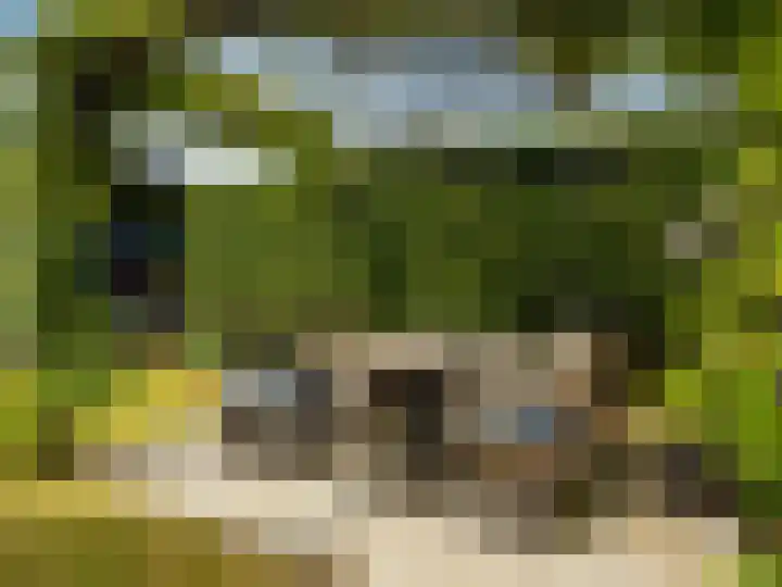van der Capellenlaan 12 Zutphen thumbnail 29