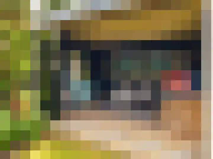 van der Capellenlaan 12 Zutphen thumbnail 30