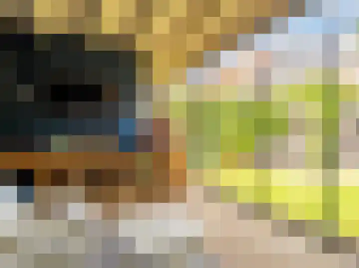 van der Capellenlaan 12 Zutphen thumbnail 31