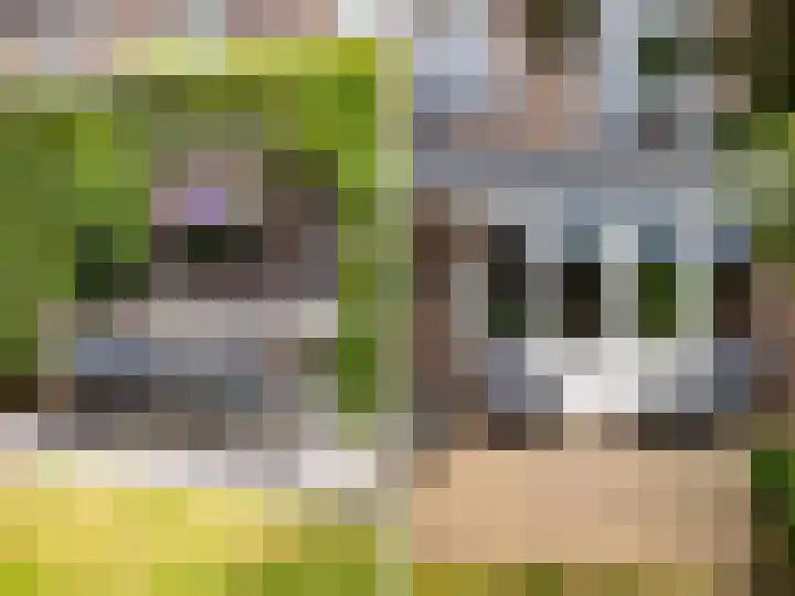 van der Capellenlaan 12 Zutphen thumbnail 33