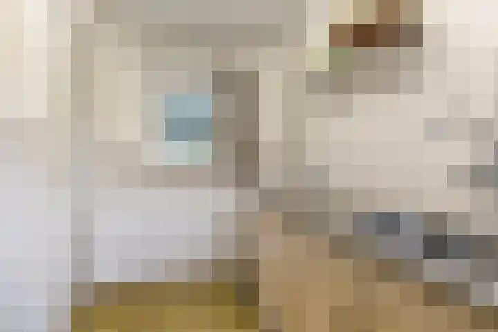 van der Capellenlaan 21 Zutphen thumbnail 13