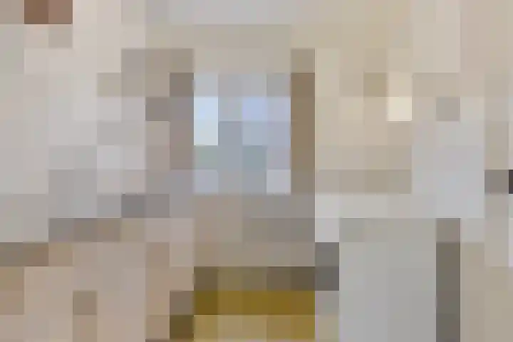 van der Capellenlaan 21 Zutphen thumbnail 14