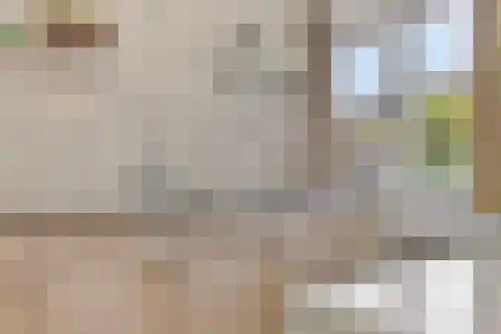 van der Capellenlaan 21 Zutphen thumbnail 15