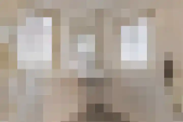 van der Capellenlaan 21 Zutphen thumbnail 23