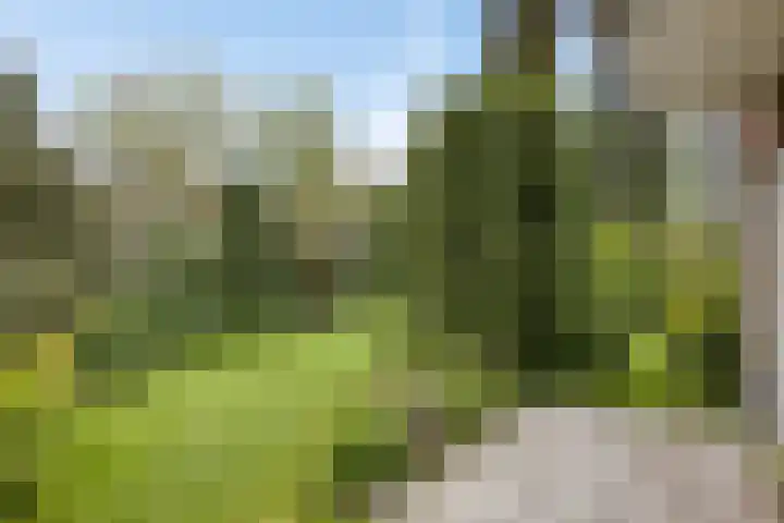 van der Capellenlaan 21 Zutphen thumbnail 29