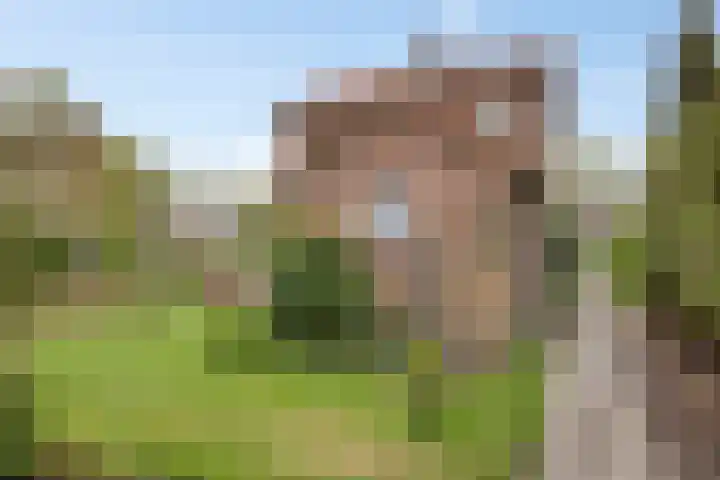 van der Capellenlaan 21 Zutphen thumbnail 30