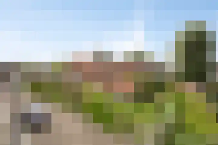 van der Capellenlaan 21 Zutphen thumbnail 34