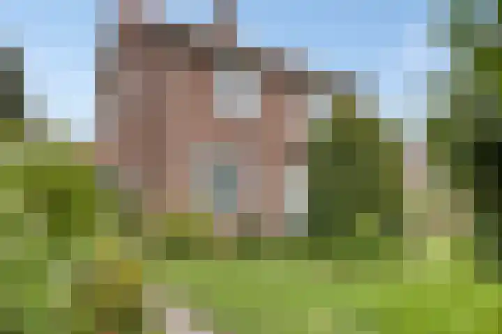 van der Capellenlaan 21 Zutphen thumbnail 5