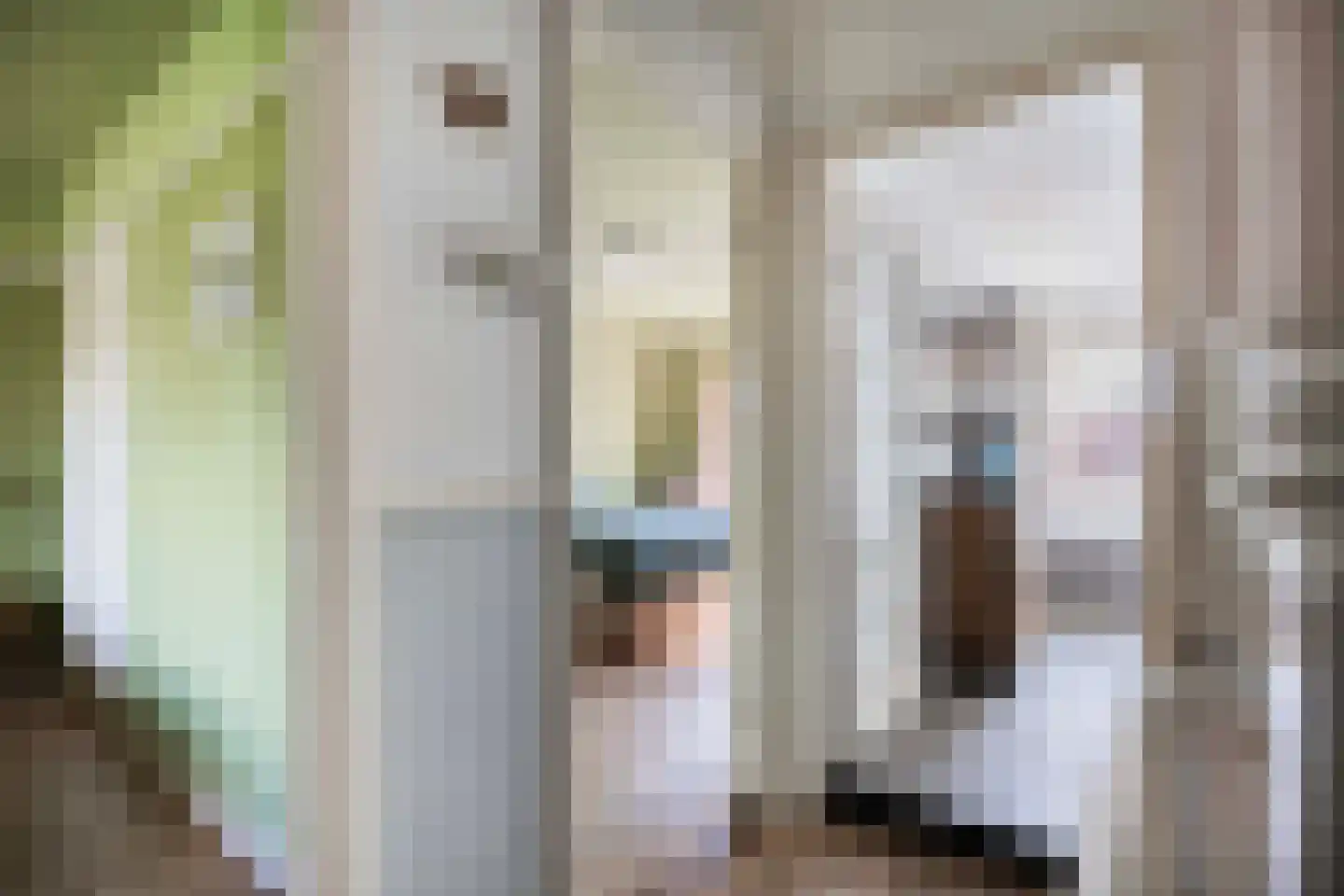 van der Capellenlaan 38 Zutphen thumbnail 17