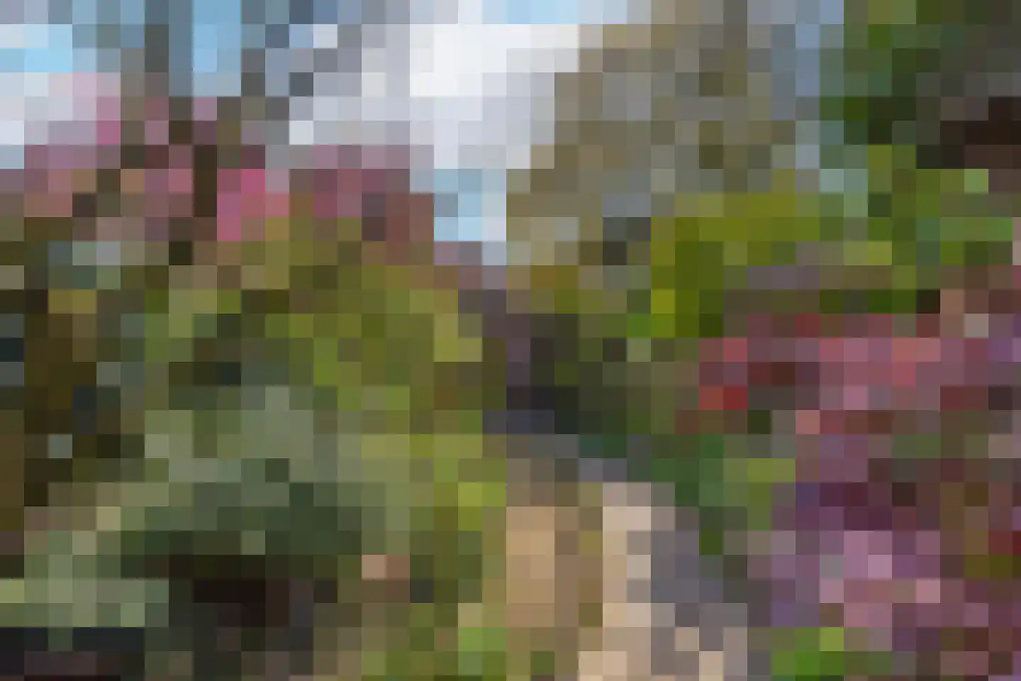 van der Capellenlaan 38 Zutphen thumbnail 31