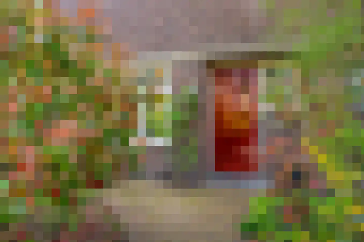 van der Capellenlaan 38 Zutphen thumbnail 4