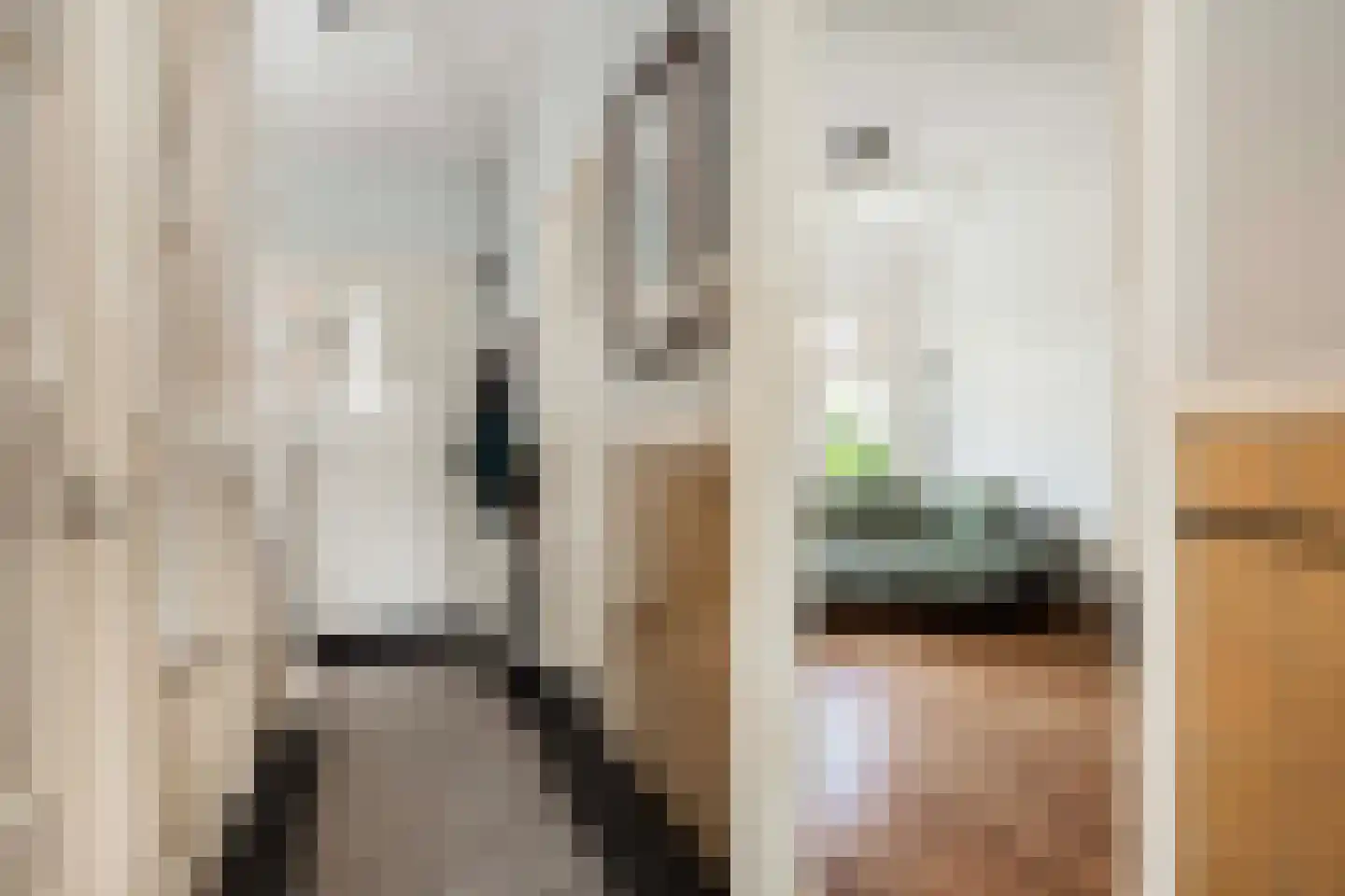 van der Capellenlaan 38 Zutphen thumbnail 7