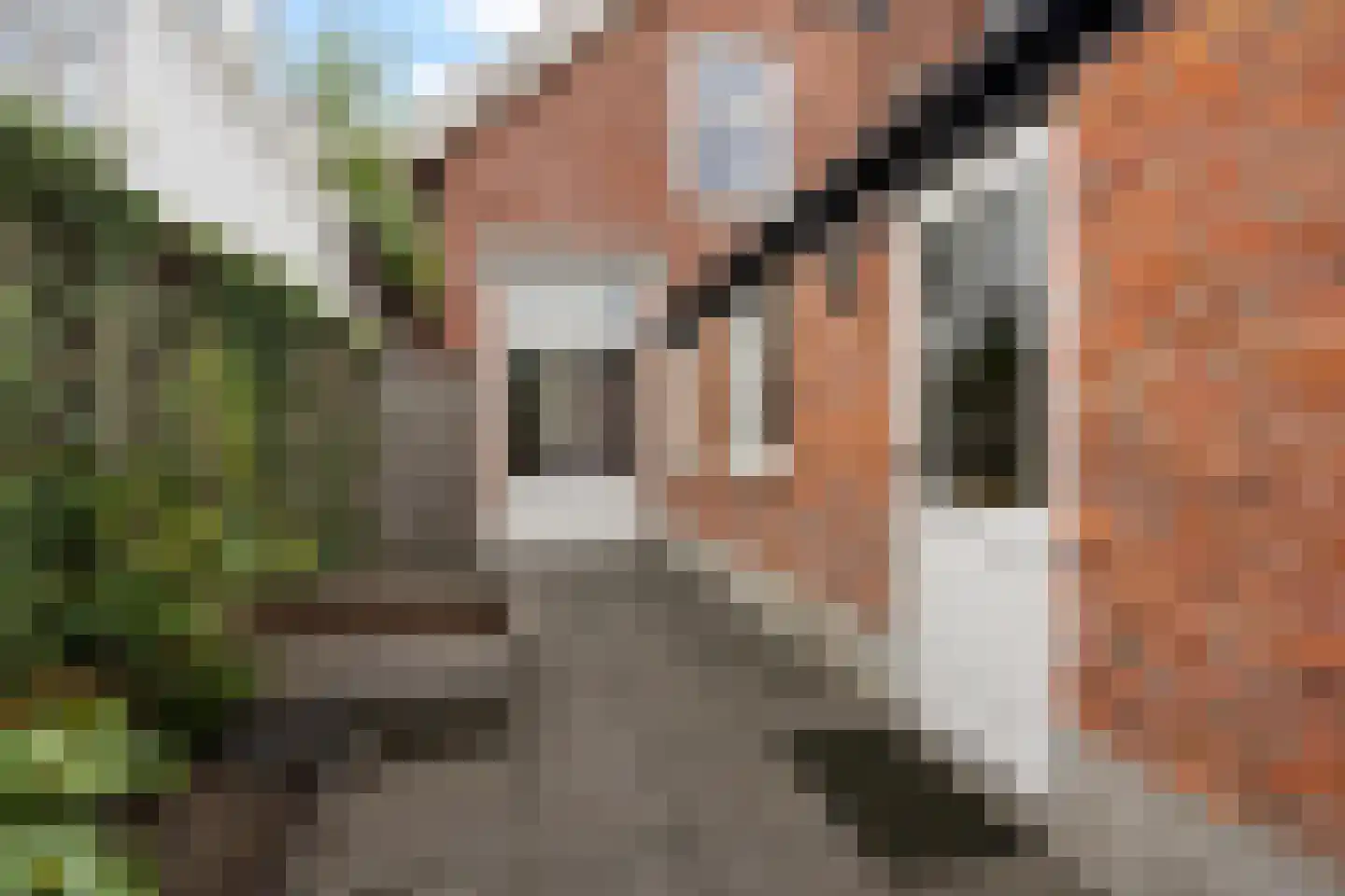 Van der Capellenstraat 3 Enschede thumbnail 34