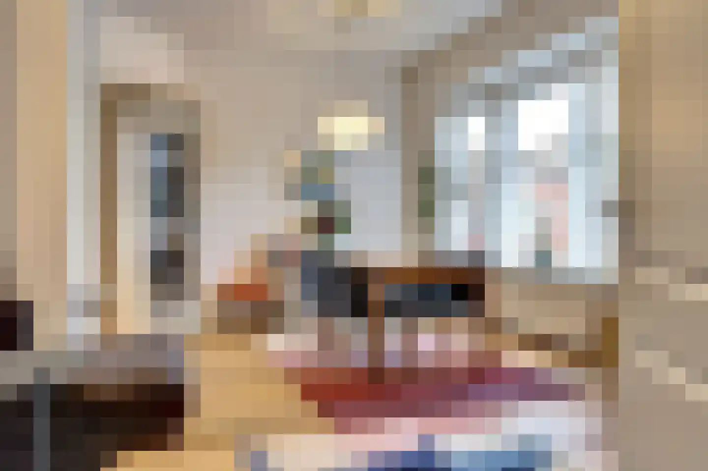 Van der Capellenstraat 33 Den Haag thumbnail 5