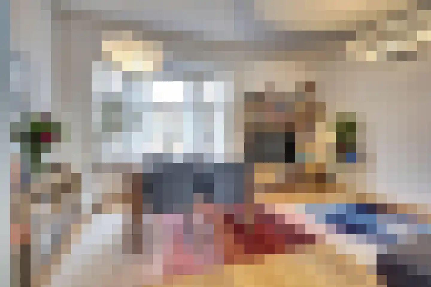 Van der Capellenstraat 33 Den Haag thumbnail 7