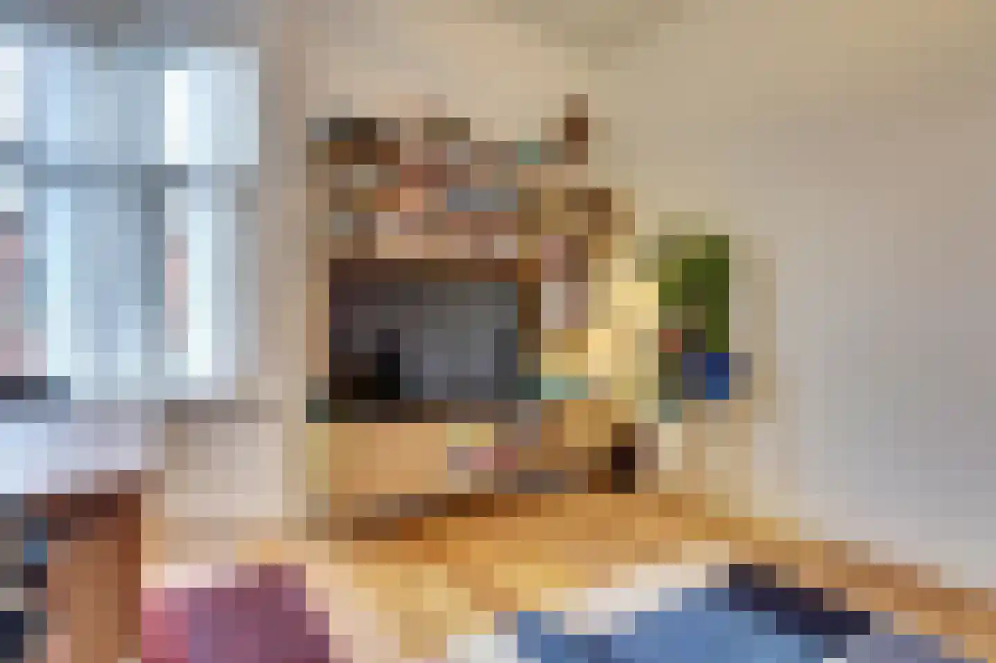 Van der Capellenstraat 33 Den Haag thumbnail 8