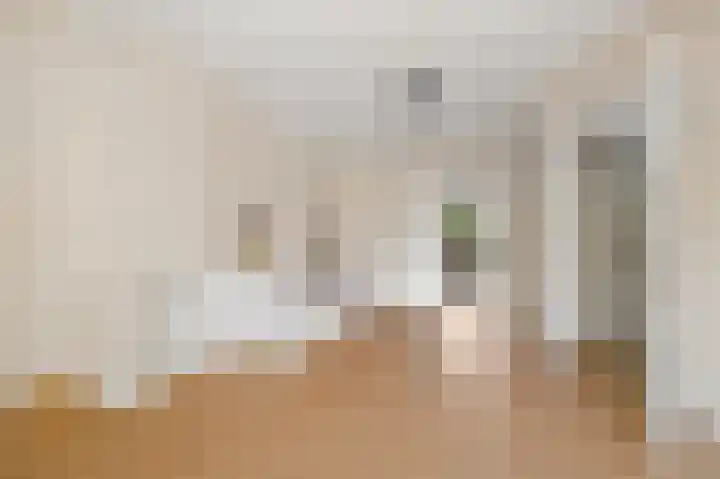 Van der Capellenstraat 37 Den Haag thumbnail 5
