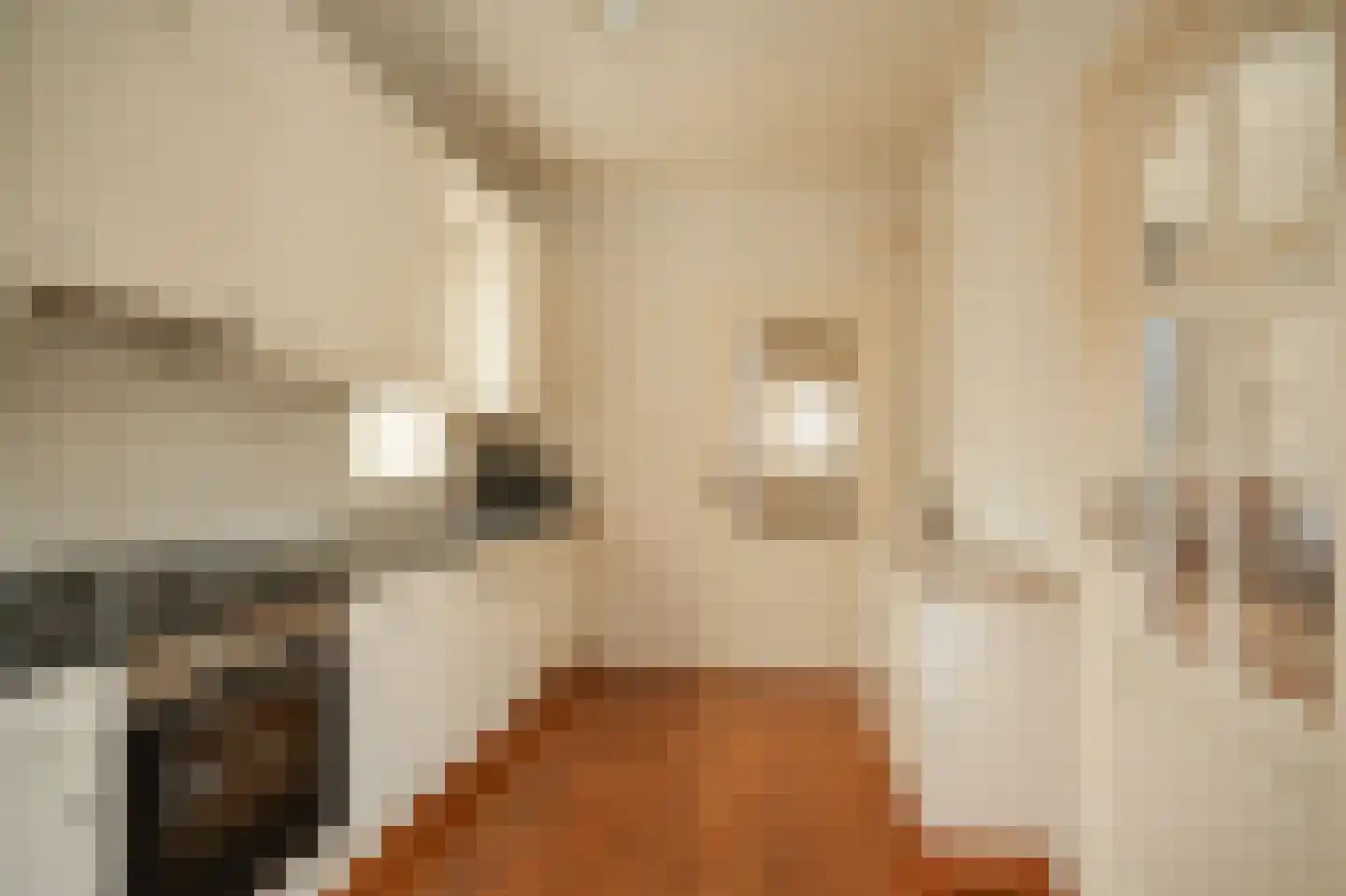 van der Capellenstraat 4 Appeltern thumbnail 11