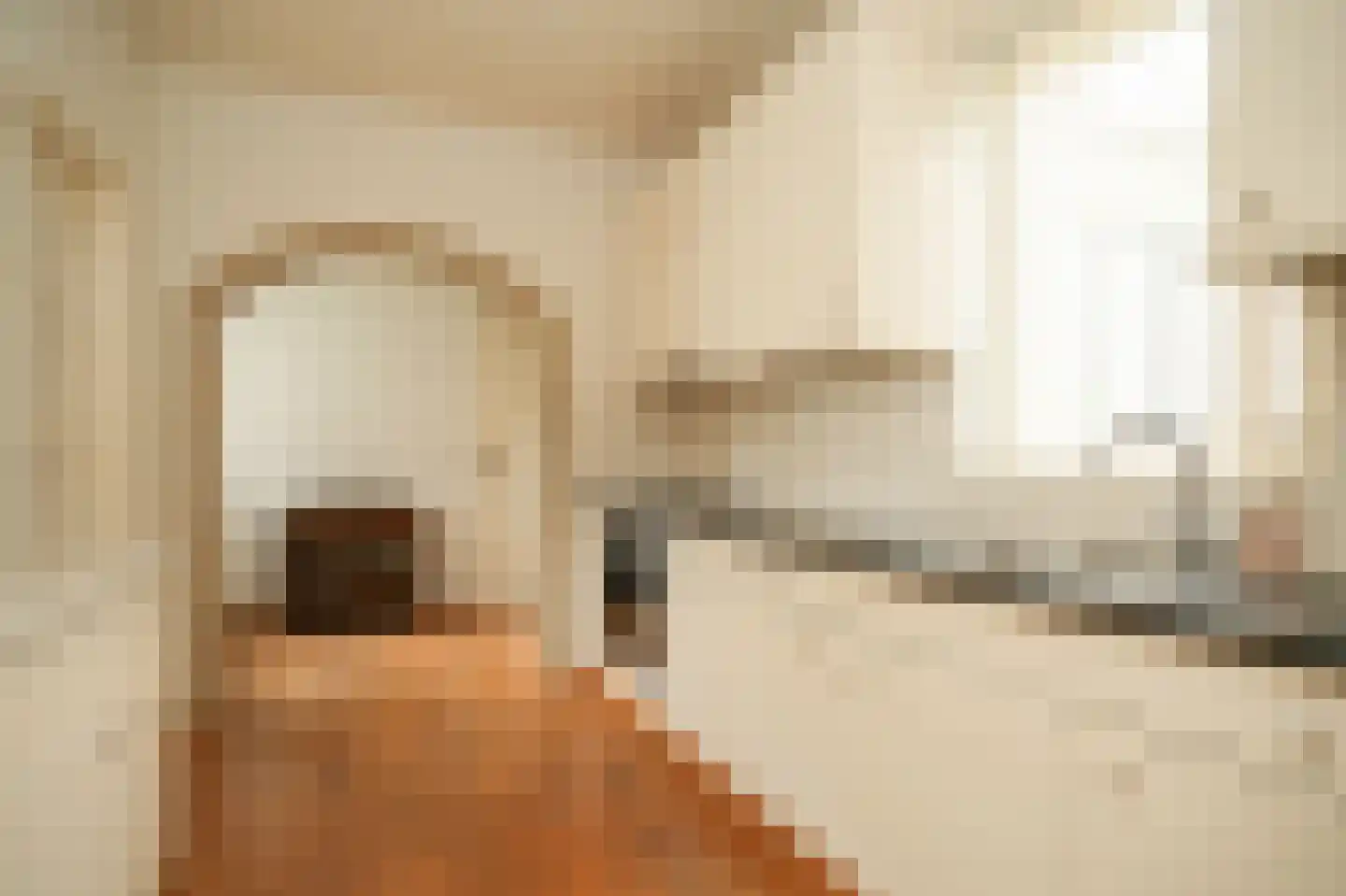 van der Capellenstraat 4 Appeltern thumbnail 14