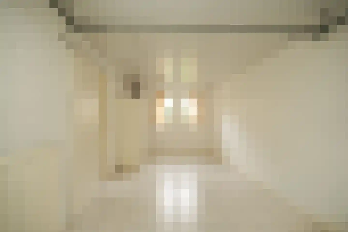 van der Capellenstraat 4 Appeltern thumbnail 19