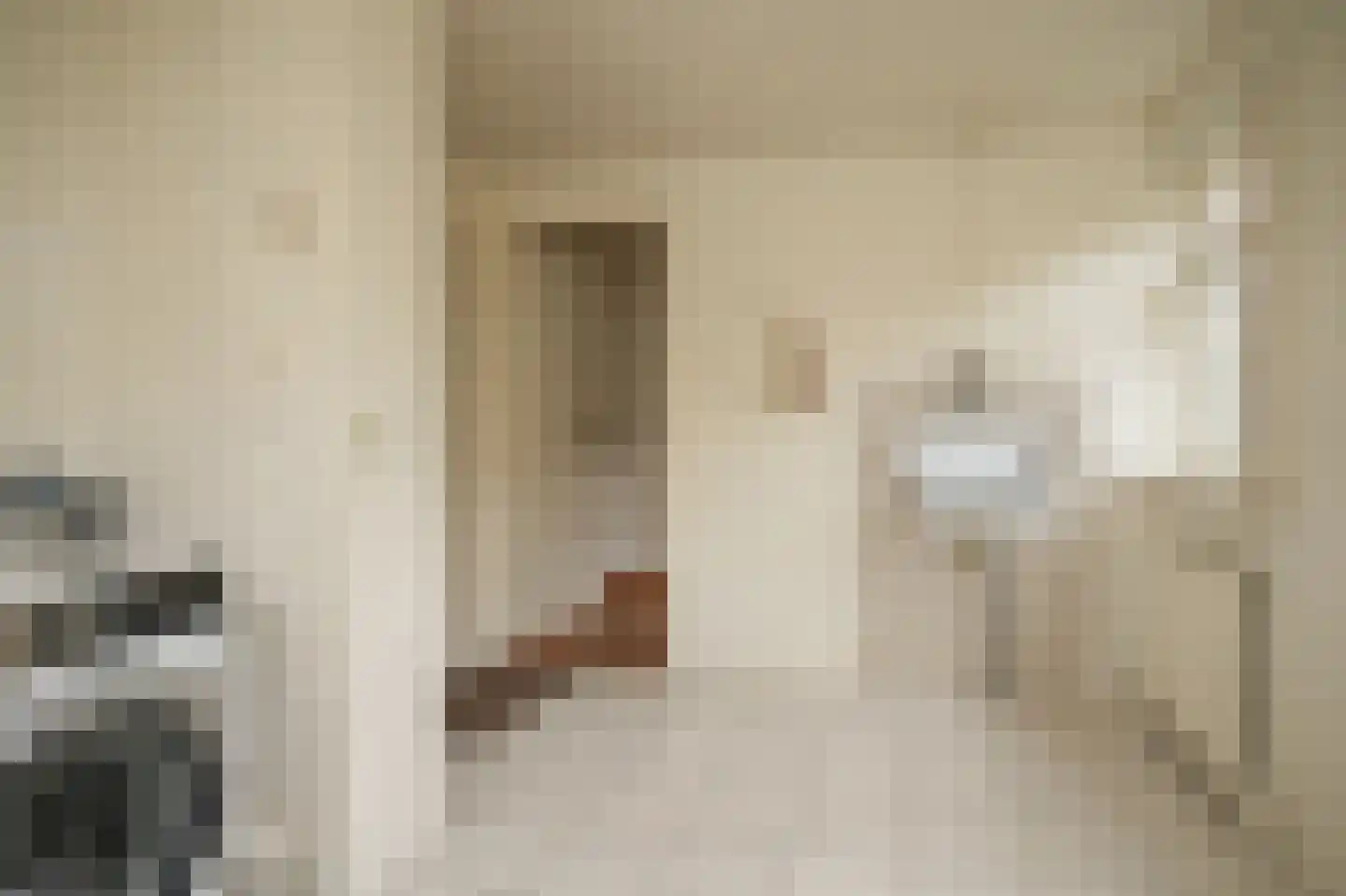 van der Capellenstraat 4 Appeltern thumbnail 21