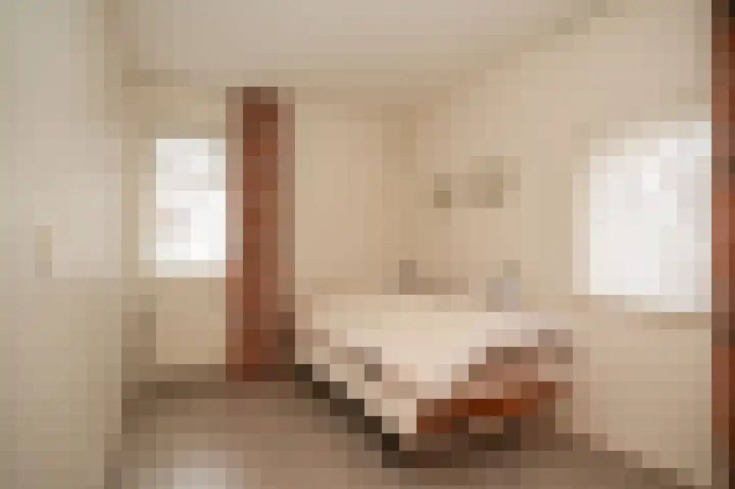 van der Capellenstraat 4 Appeltern thumbnail 30