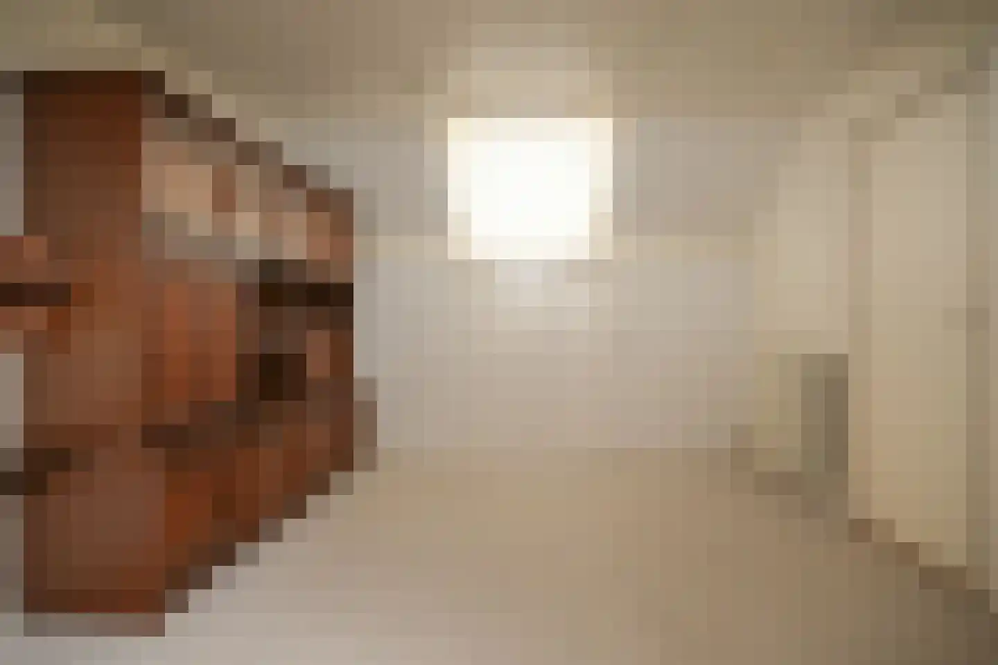 van der Capellenstraat 4 Appeltern thumbnail 34