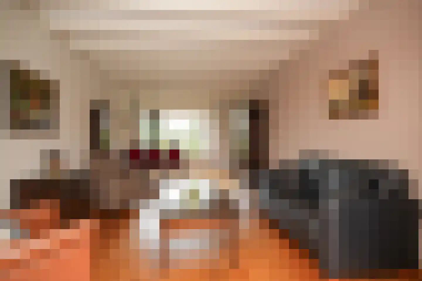 van der Capellenstraat 4 Appeltern thumbnail 4