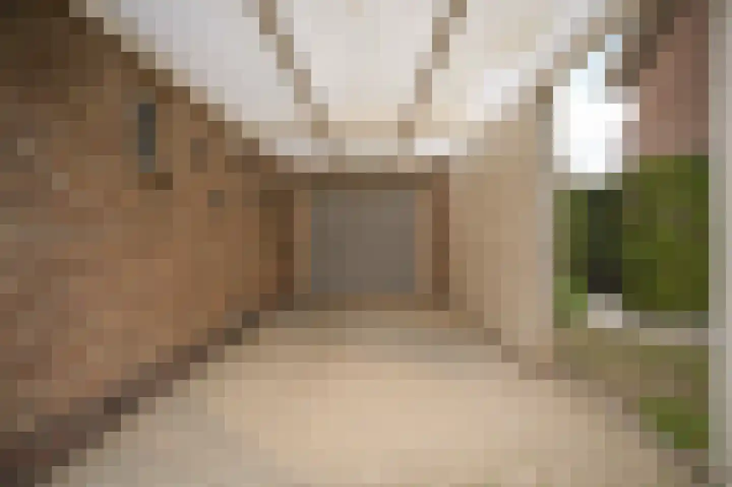 van der Capellenstraat 4 Appeltern thumbnail 44