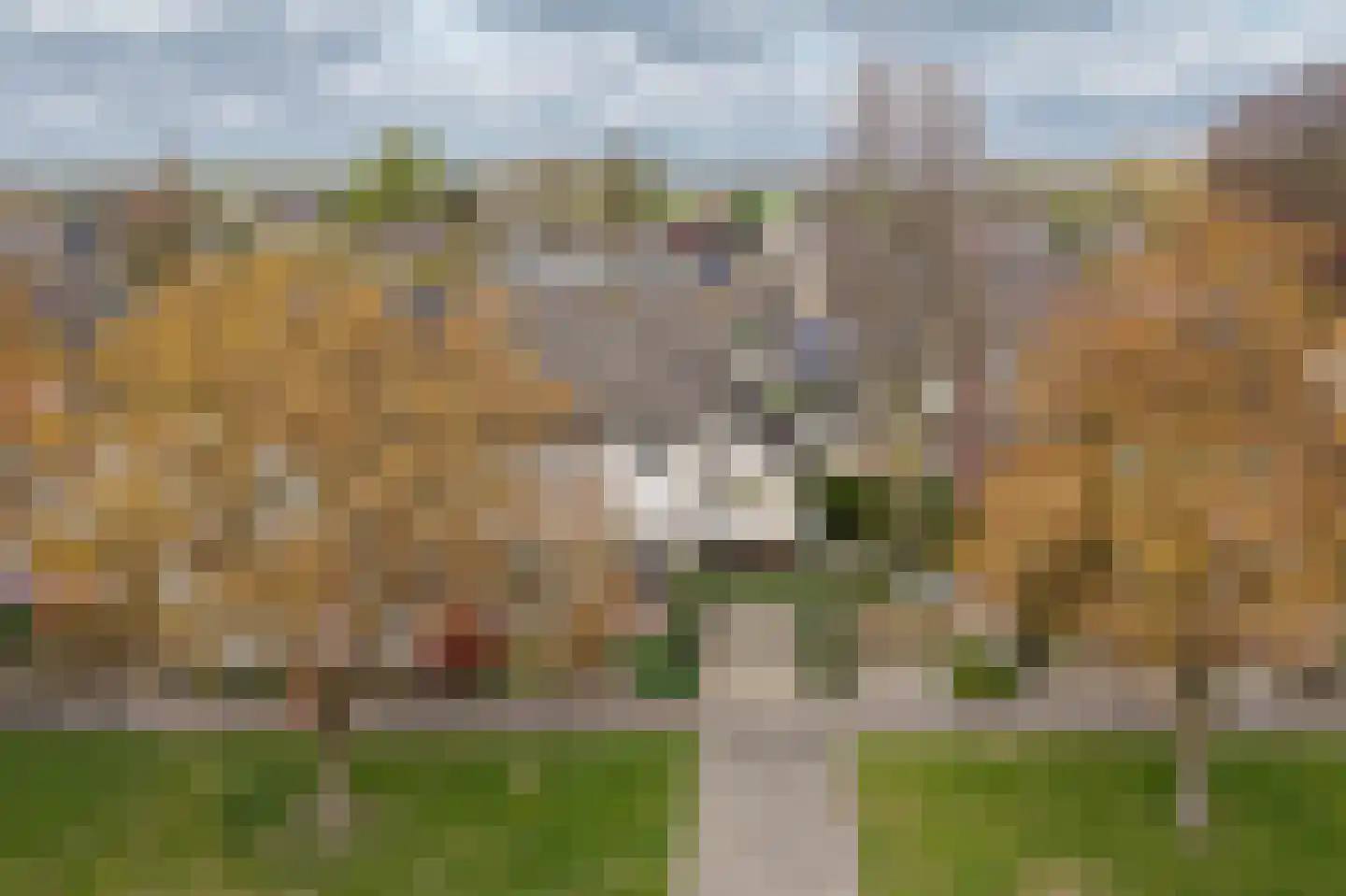 van der Capellenstraat 4 Appeltern thumbnail 51