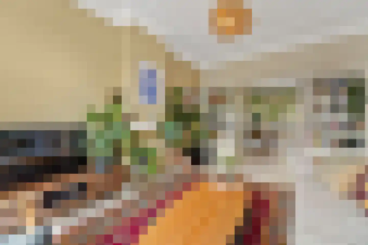 Van der Capellenstraat 64 Den Haag thumbnail 15