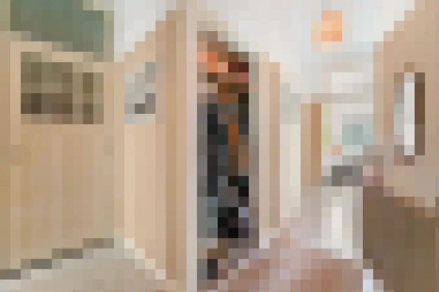 Van der Capellenstraat 64 Den Haag thumbnail 7