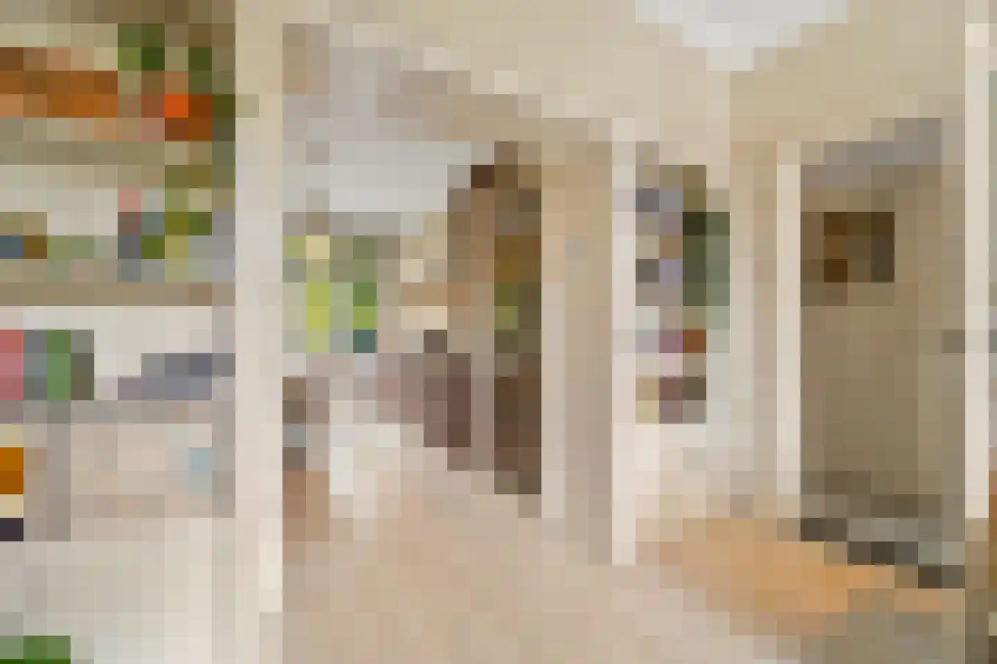 Van der Capellenstraat 64 Den Haag thumbnail 8
