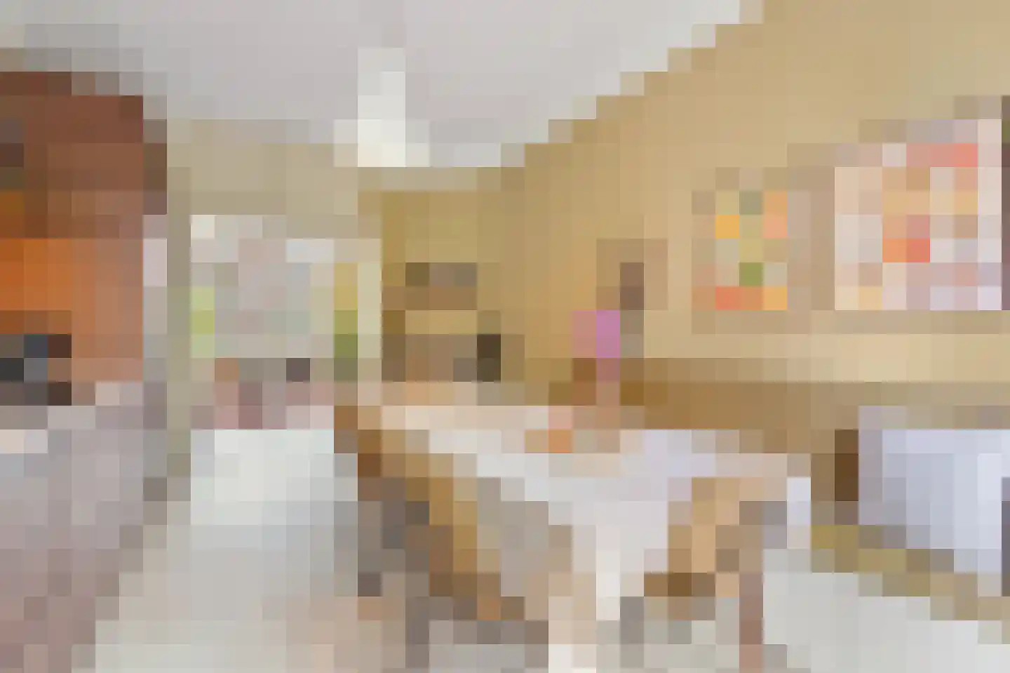 Van der Capellenstraat 64 Den Haag thumbnail 9