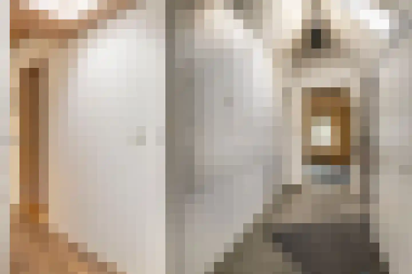 van der Capellenweg 10 a Heino thumbnail 20