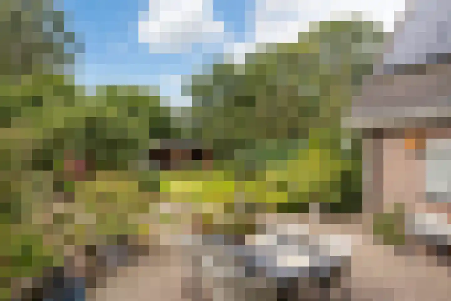 van der Capellenweg 10 a Heino thumbnail 32