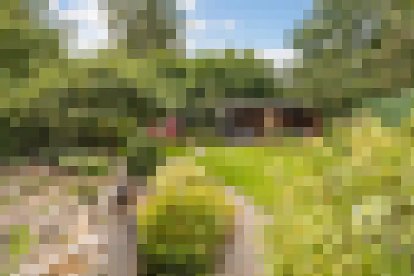 van der Capellenweg 10 a Heino thumbnail 34