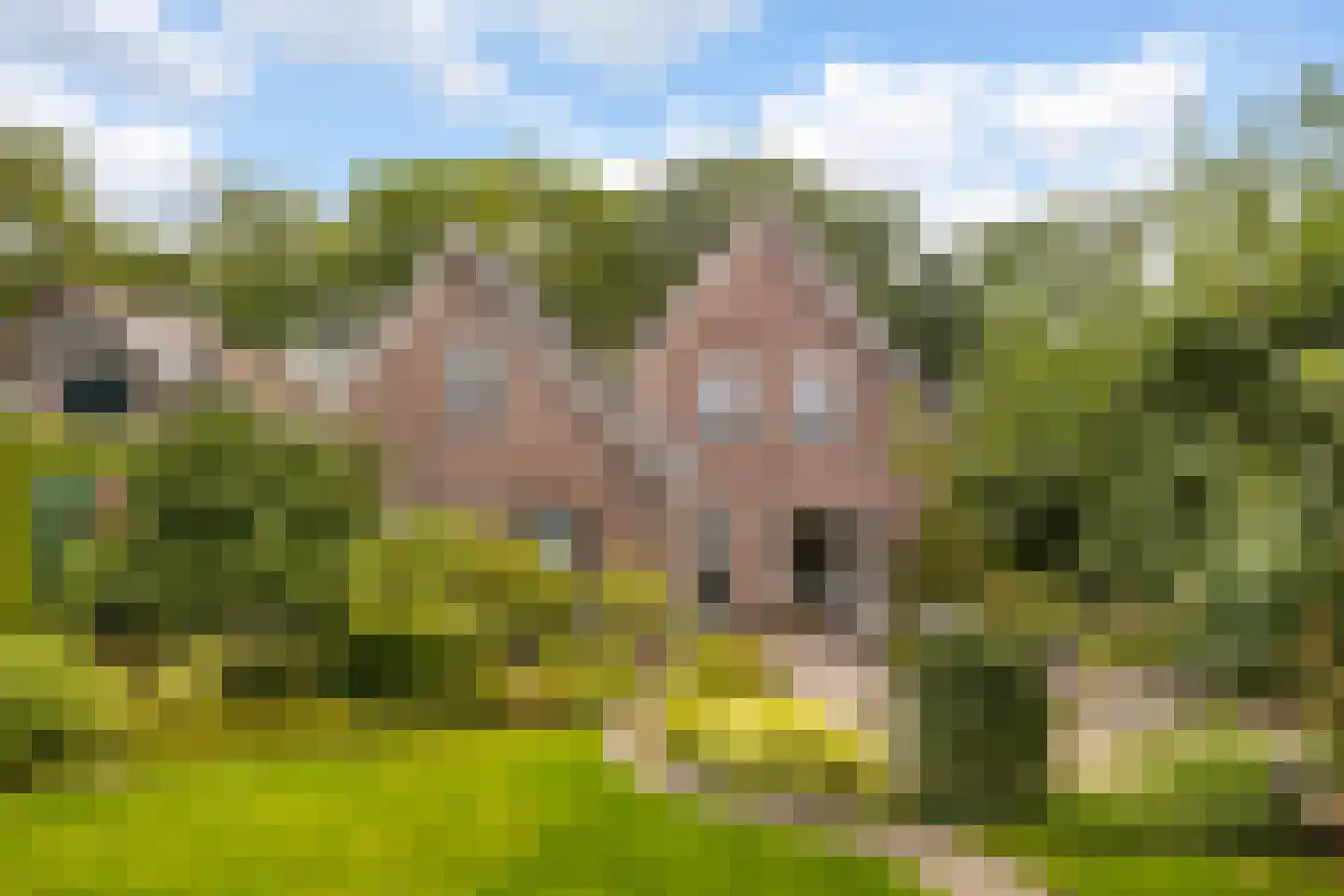 van der Capellenweg 10 a Heino thumbnail 36