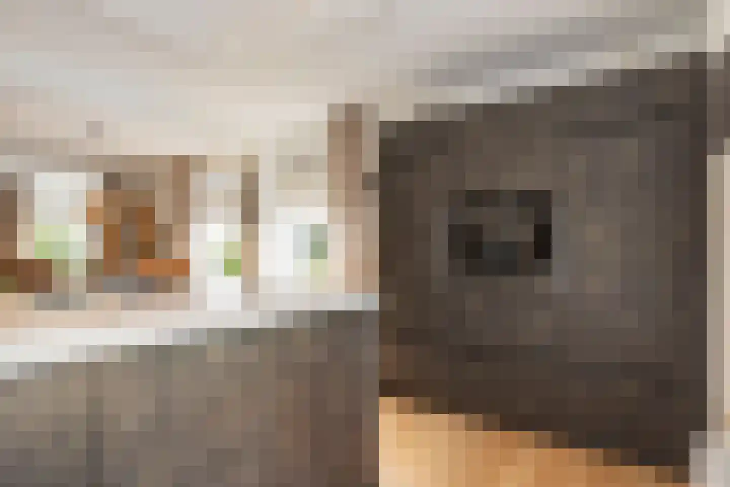van der Capellenweg 10 a Heino thumbnail 9