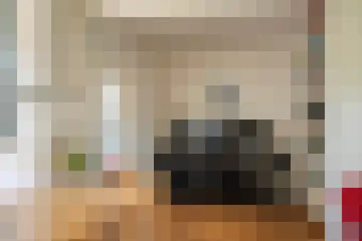 van der Capellenweg 24 Heino thumbnail 10