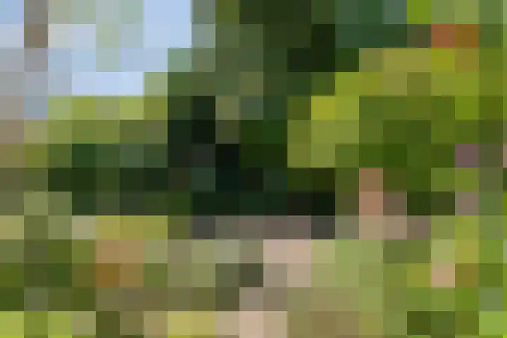 van der Capellenweg 24 Heino thumbnail 23