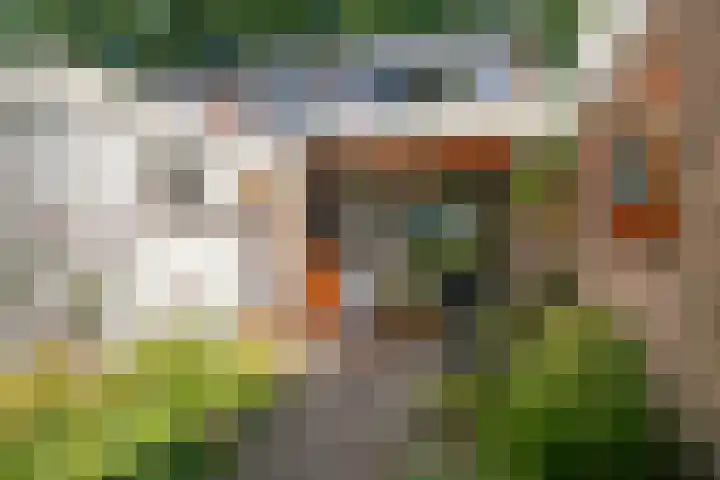 van der Capellenweg 24 Heino thumbnail 24