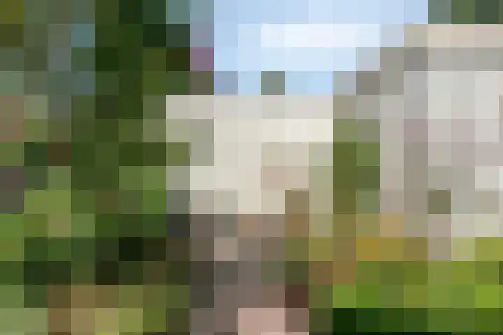 van der Capellenweg 24 Heino thumbnail 29